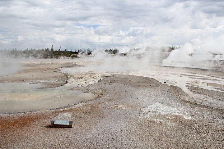 Private Yellowstone Lower Loop Sites & Wildlife Tour from Bozeman