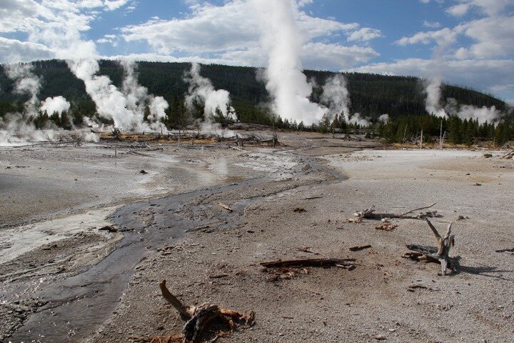 Private Yellowstone Lower Loop Sites & Wildlife Tour from Bozeman