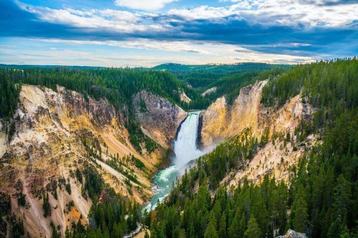Private Yellowstone Lower Loop Sites & Wildlife Tour from Bozeman