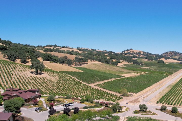 Paso Robles 3-Winery Tour with Picnic Lunch and Tastings