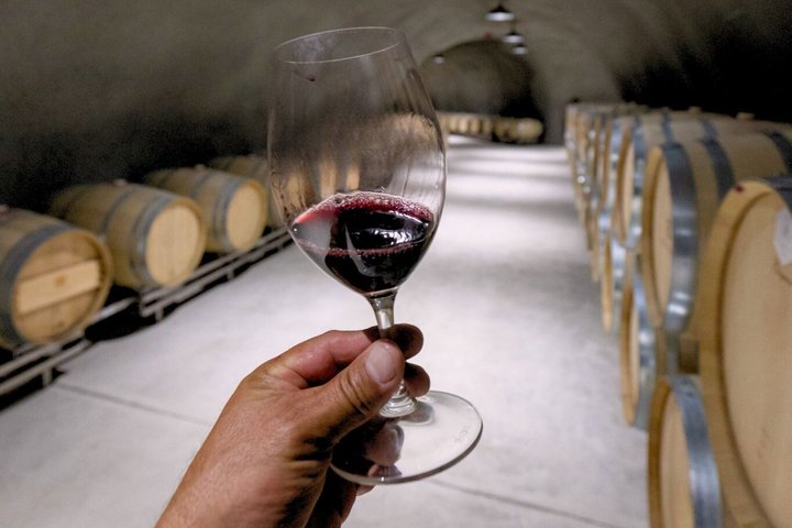 Paso Robles 3-Winery Tour with Picnic Lunch and Tastings