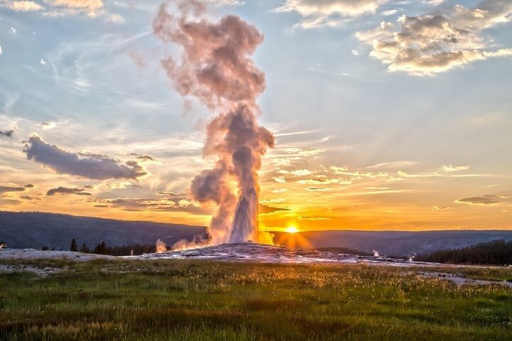 Private Yellowstone Lower Loop Sites & Wildlife Tour from Bozeman