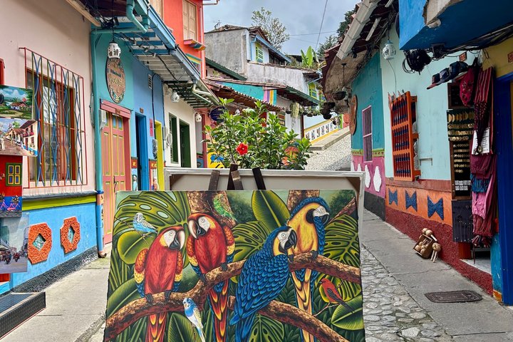 PREMIUM Guatapé Tour: Rock, Luxury boat ride, Meals & Llamas