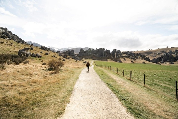 TranzAlpine Train & Small Group Tour to Arthurs Pass with Lunch