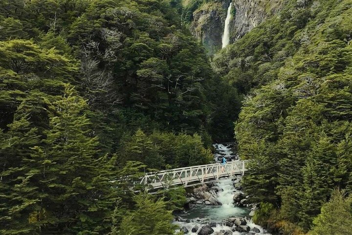 TranzAlpine Train & Small Group Tour to Arthurs Pass with Lunch