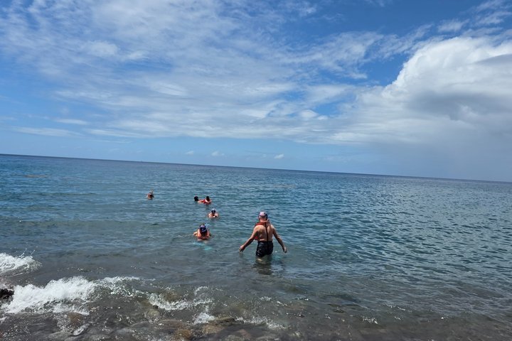 Dominicas All in One Adventure
