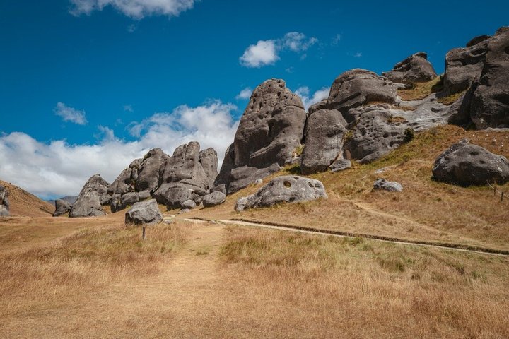 TranzAlpine Train & Small Group Tour to Arthurs Pass with Lunch