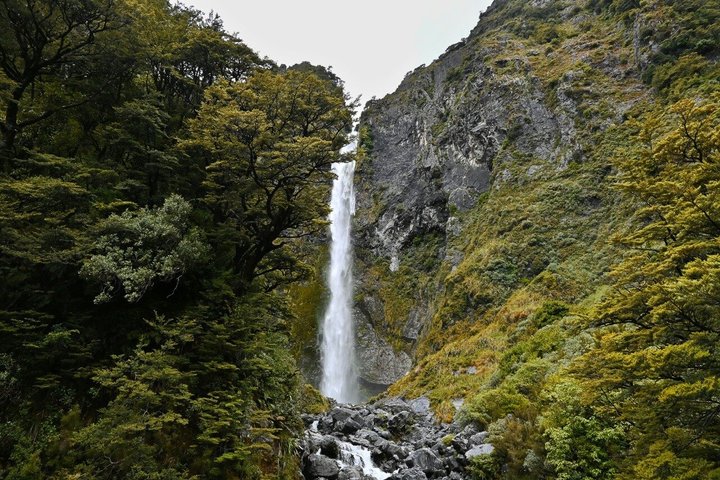 TranzAlpine Train & Small Group Tour to Arthurs Pass with Lunch