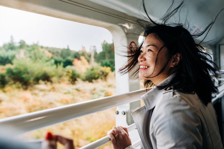 TranzAlpine Train & Small Group Tour to Arthurs Pass with Lunch