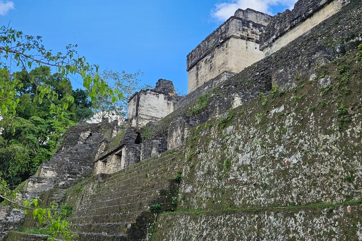 Private Tour with VIP Service Tikal Guatemala