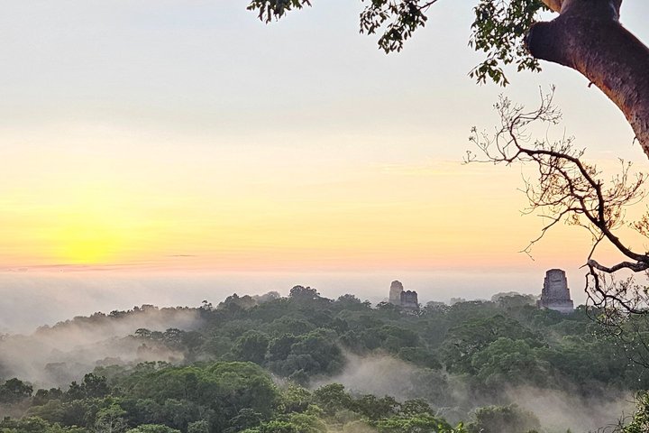 All Inclusive Tikal Tour from Flores and Airport