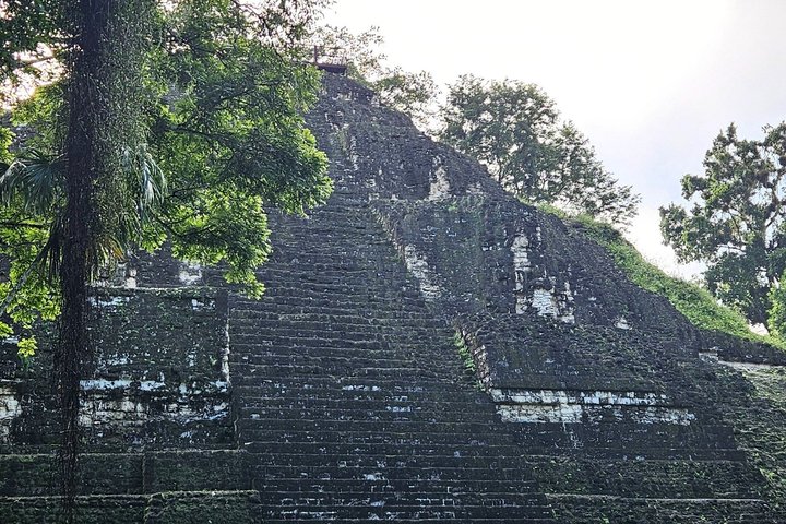 All Inclusive Tikal Tour from Flores and Airport