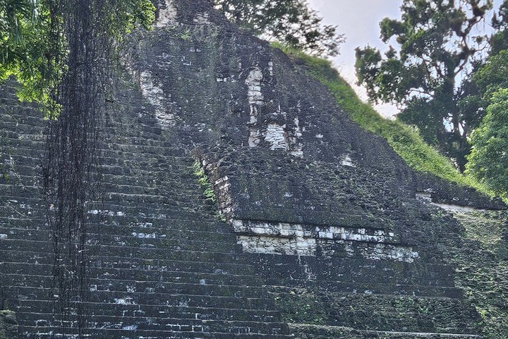 All Inclusive Tikal Tour from Flores and Airport