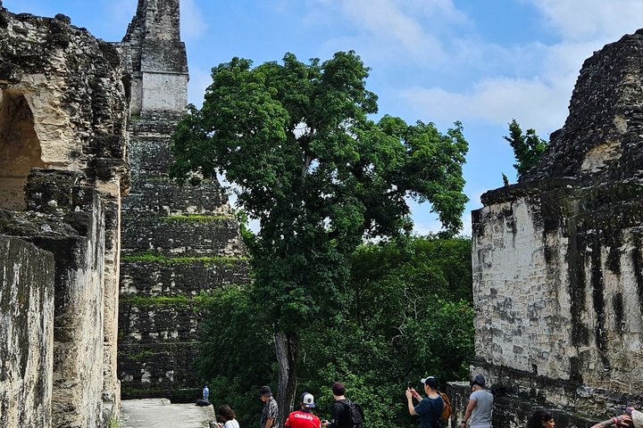 All Inclusive Tikal Tour from Flores and Airport