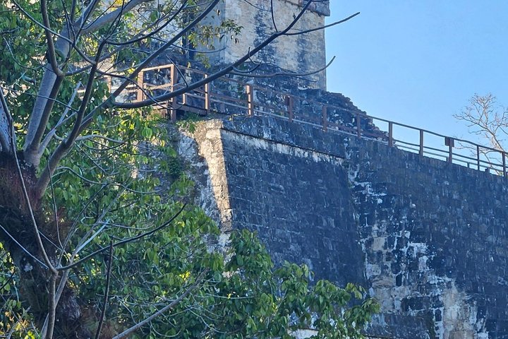 All Inclusive Tikal Tour from Flores and Airport