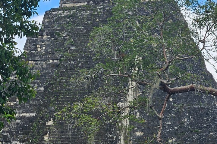 All Inclusive Tikal Tour from Flores and Airport