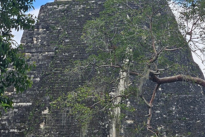 All Inclusive Tikal Tour from Flores and Airport