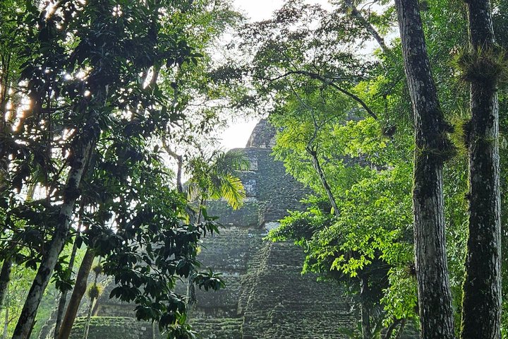 All Inclusive Tikal Tour from Flores and Airport