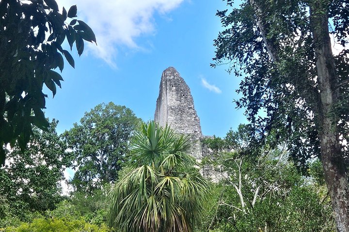 Private Tour with VIP Service Tikal Guatemala