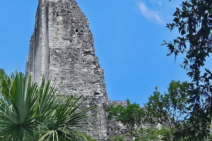 Private Tour with VIP Service Tikal Guatemala