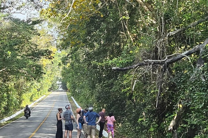 Private Tour with VIP Service Tikal Guatemala