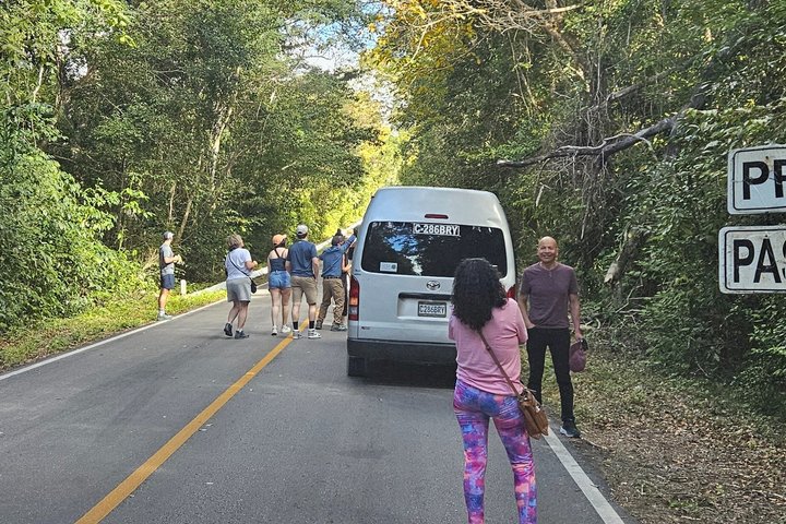 Private Tour with VIP Service Tikal Guatemala
