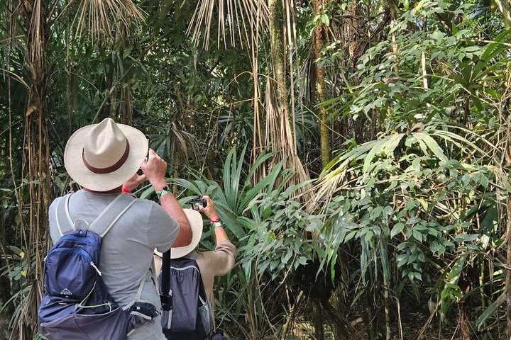 Private Tour with VIP Service Tikal Guatemala