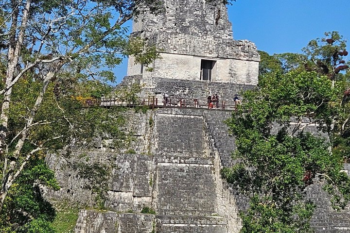 Private Tour with VIP Service Tikal Guatemala