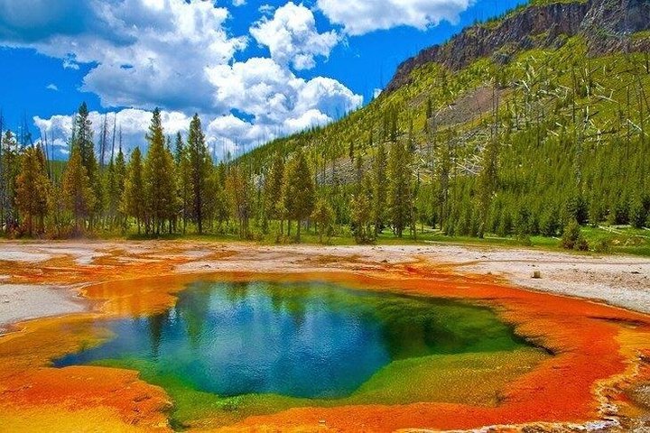 Private Yellowstone Lower Loop Sites & Wildlife Tour from Bozeman