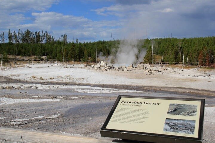 Private Yellowstone Lower Loop Sites & Wildlife Tour from Bozeman