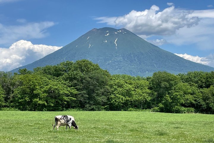 Noboribetsu, Lake Toya and Niseko Day Tour from Sapporo
