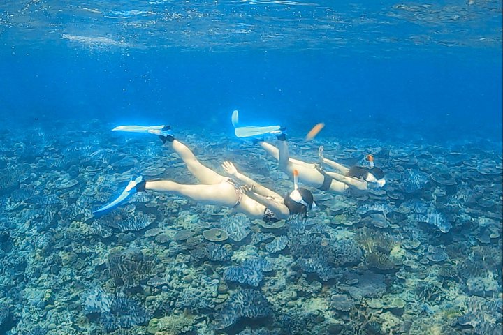 Explore Sesoko Island with Private Snorkeling Tour