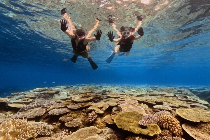 Explore Sesoko Island with Private Snorkeling Tour