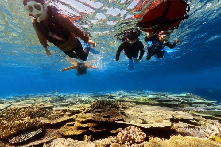 Explore Sesoko Island with Private Snorkeling Tour