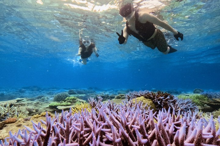 Explore Sesoko Island with Private Snorkeling Tour