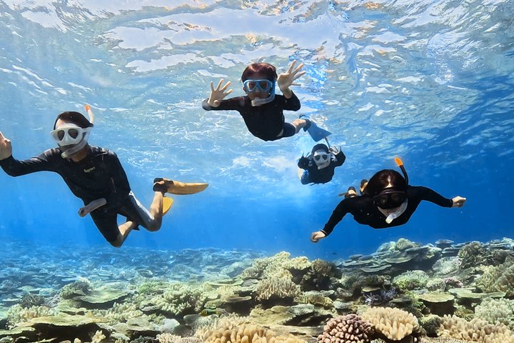 Explore Sesoko Island with Private Snorkeling Tour