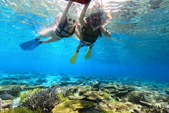 Explore Sesoko Island with Private Snorkeling Tour
