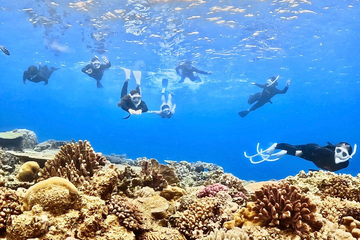 Explore Sesoko Island with Private Snorkeling Tour
