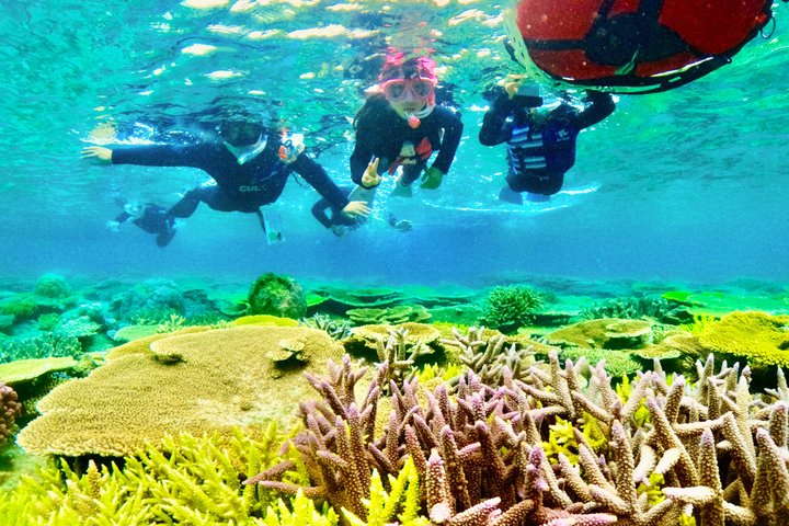 Explore Sesoko Island with Private Snorkeling Tour