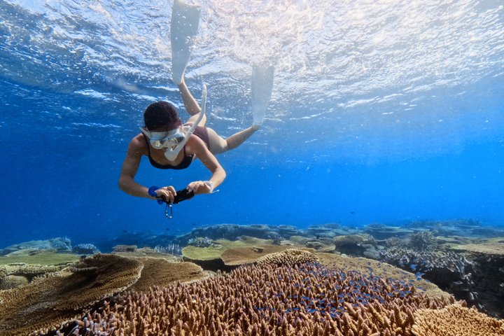 Explore Sesoko Island with Private Snorkeling Tour