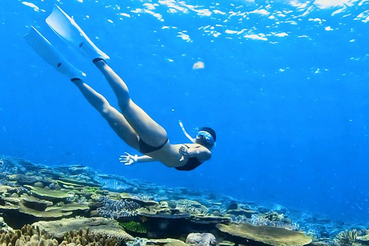Explore Sesoko Island with Private Snorkeling Tour