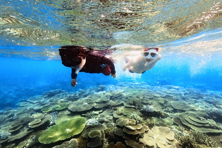 Explore Sesoko Island with Private Snorkeling Tour