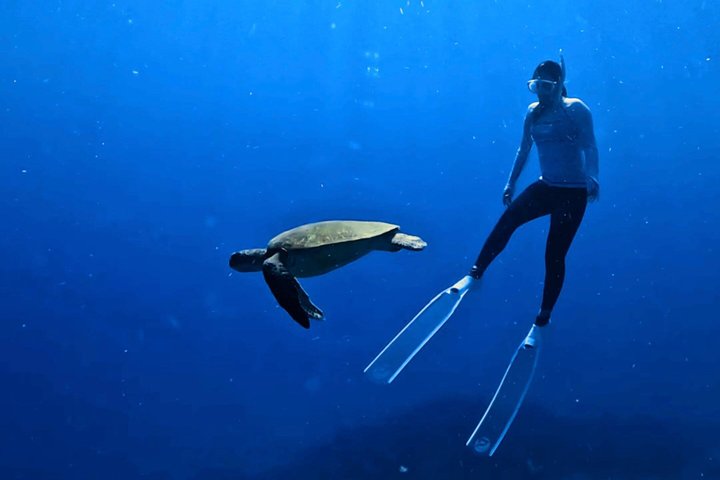 Explore Sesoko Island with Private Snorkeling Tour