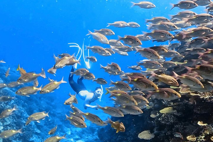 Explore Sesoko Island with Private Snorkeling Tour