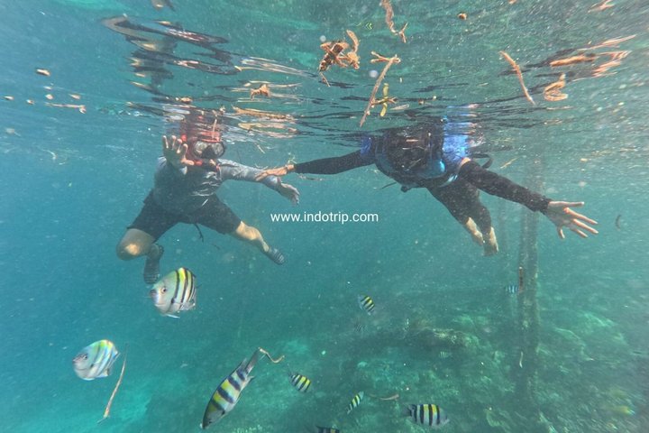 Shared Guided 2 Days Tour to Raja Ampat