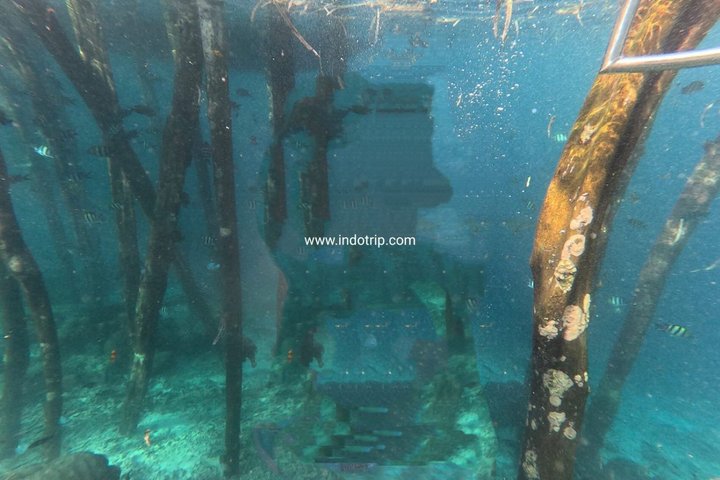 Shared Guided 2 Days Tour to Raja Ampat