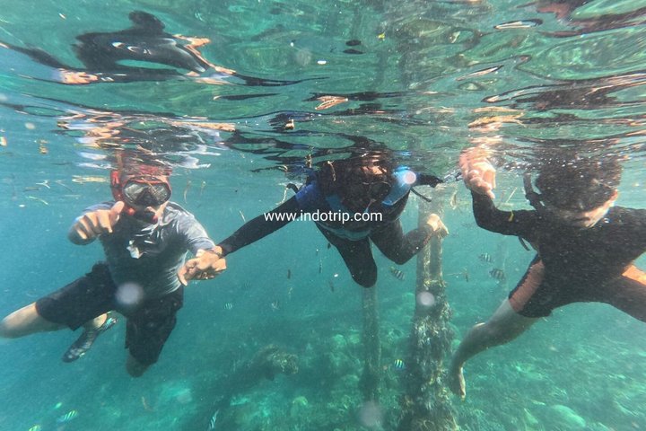 Shared Guided 2 Days Tour to Raja Ampat