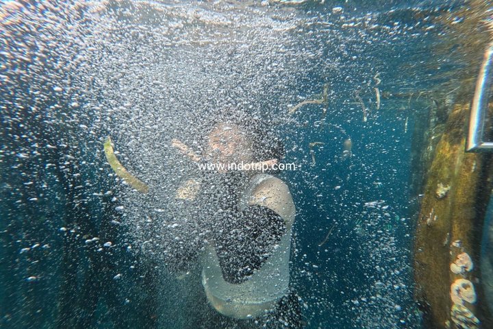 Shared Guided 2 Days Tour to Raja Ampat