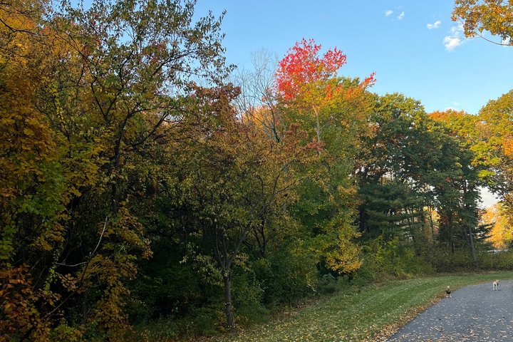 Nature Bike Tour: Biking Adventure Along The NH Greenway Rail