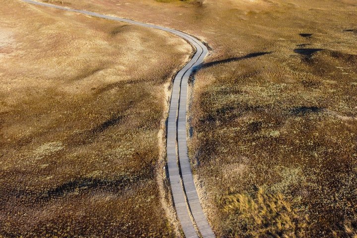 Private Curonian Spit (Neringa) Tour from Klaipeda – Nida & Dunes